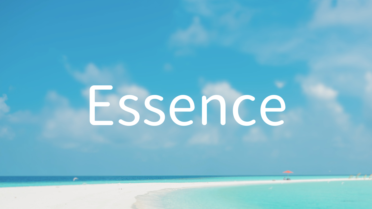 Essence 1. What is essence? 2. To live according to one's true nature is to live according to what one really wants to do 3. By living by what one really wants to do, one comes to one's own truth