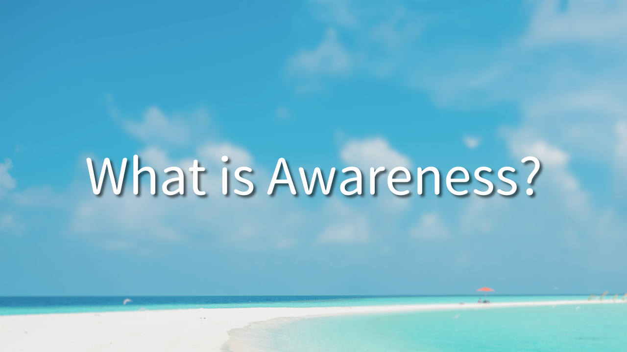 What is Awareness? 1. Why is noticing necessary? 2. What is knowing oneself? 3. What is living?