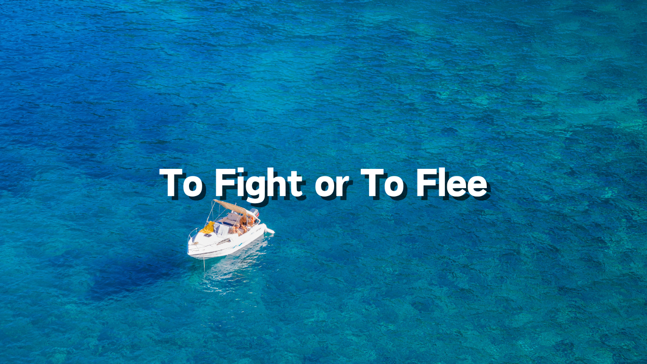 To Fight or to Flee How to Choose: Reason for Choosing: